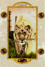 4-アタラ:ザ・ライオニス